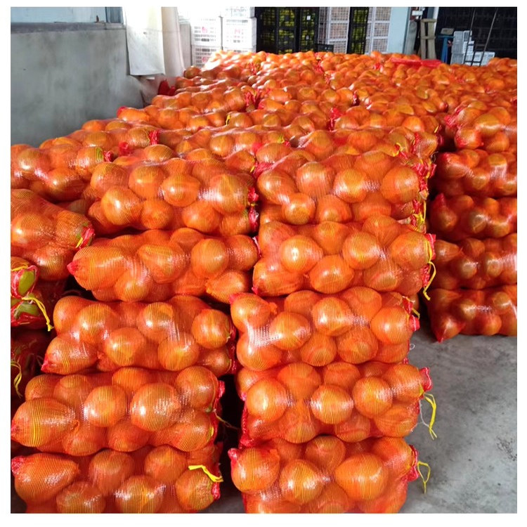 湖南怀化安江雪峰山冰糖柚脆甜小柚子新鲜水果小苦柚药柚批发50斤