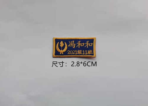 温州瓦市小学小学生校服蓝色底金色字名字贴团购名字贴刺绣批发