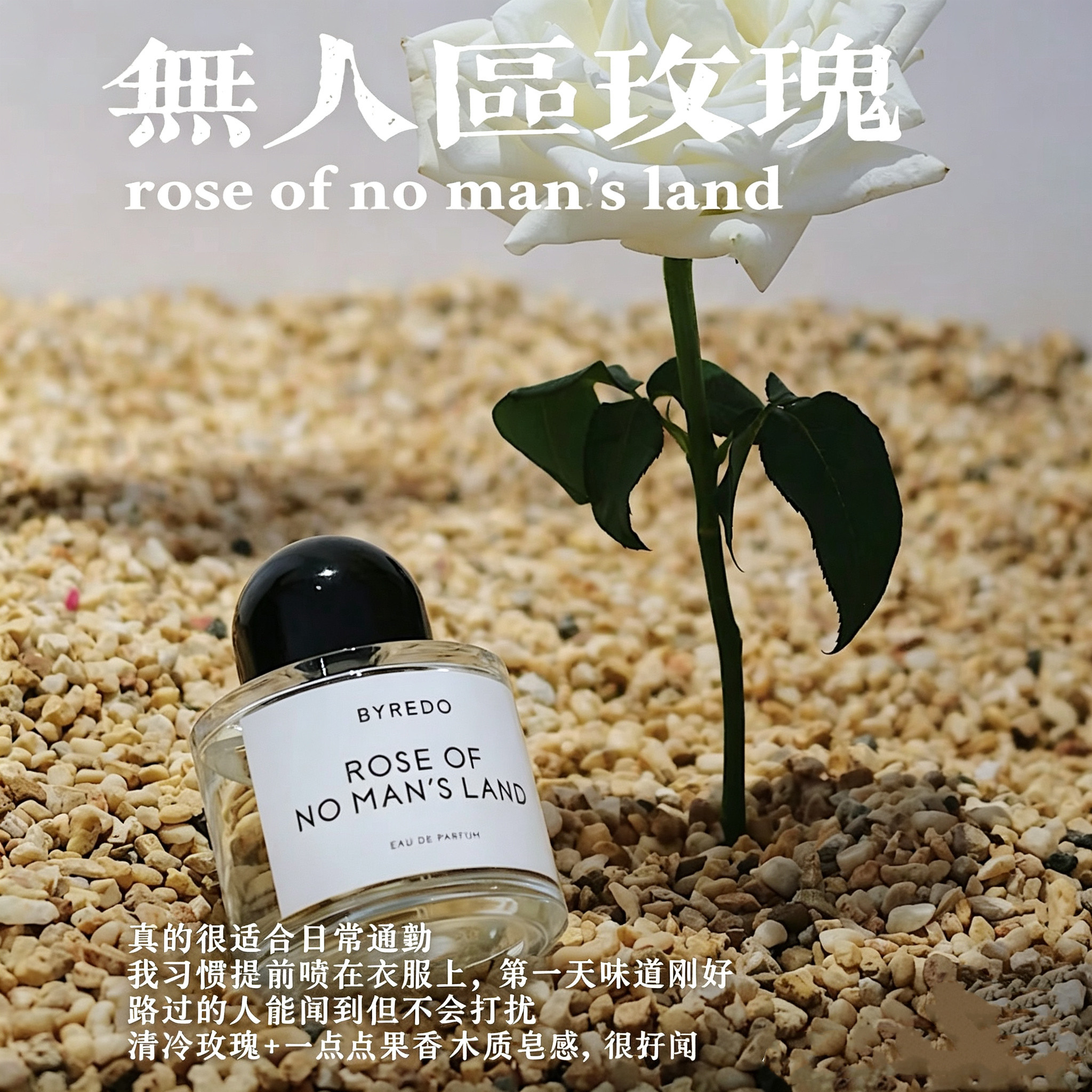 无人区保真现货白色浪漫