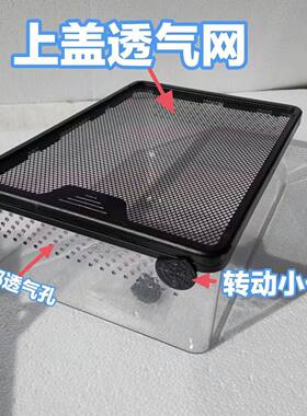 养蛇小盒小宠蜘蛛蛇昆虫盒