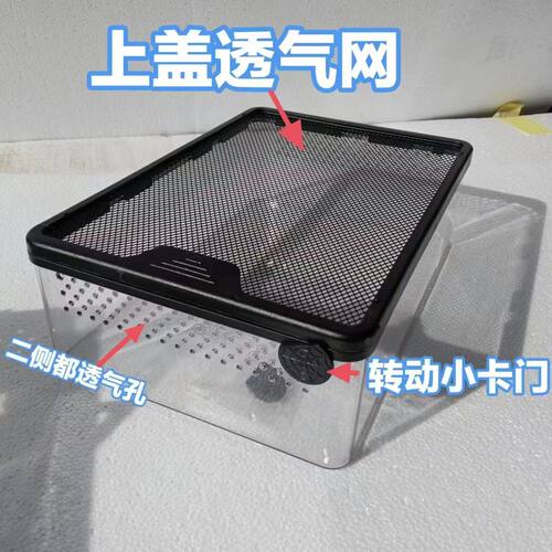 养蛇小盒小宠蜘蛛蛇昆虫盒