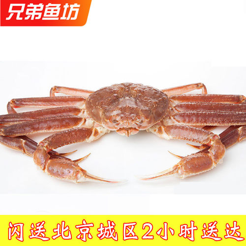 鲜活板蟹长脚蟹大松叶蟹