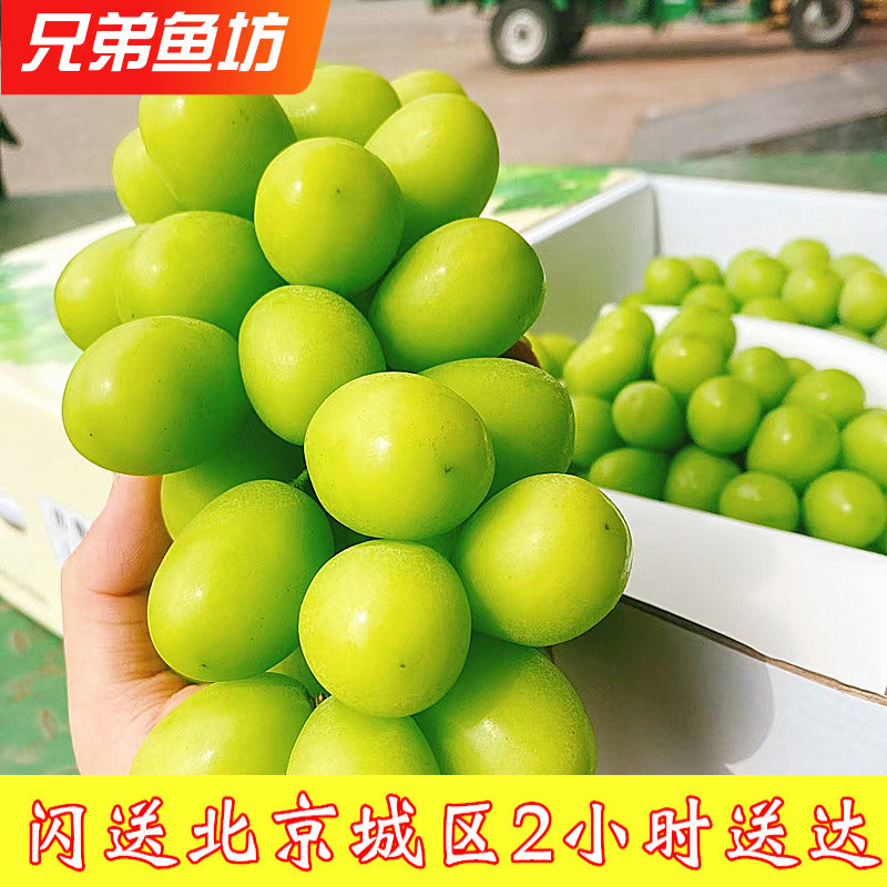 阳光玫瑰青提相印晴王葡萄图片