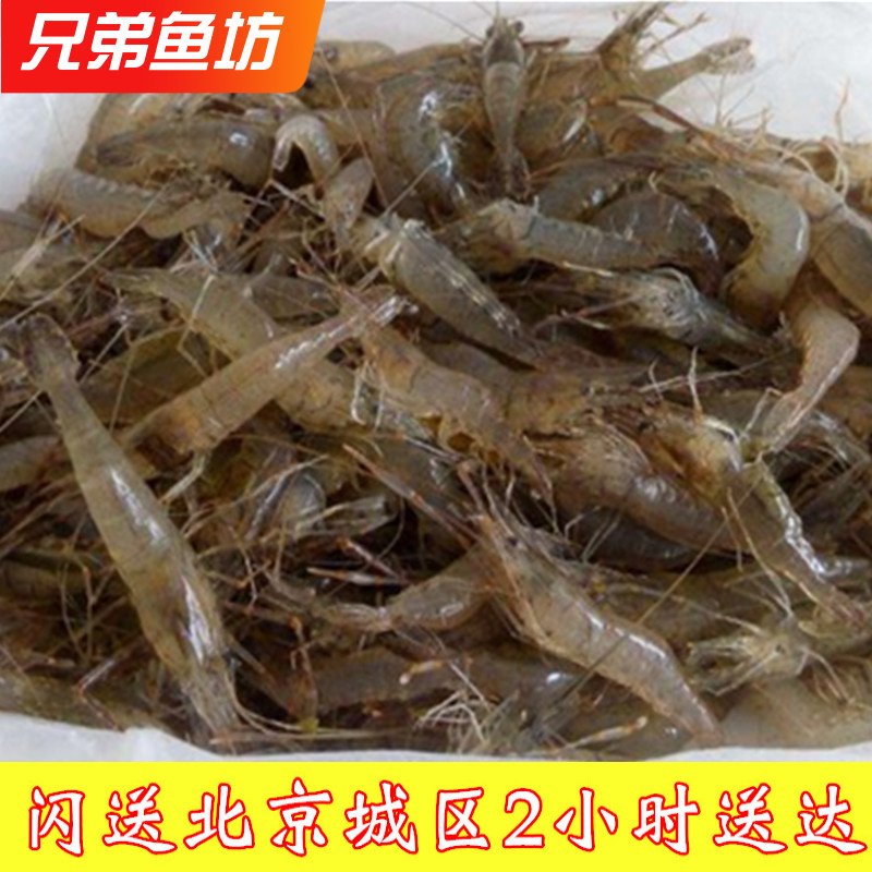 500g小河虾新鲜鲜活淡水活虾
