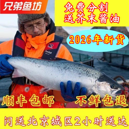 智利冷冻整条三文鱼刺身生鱼片
