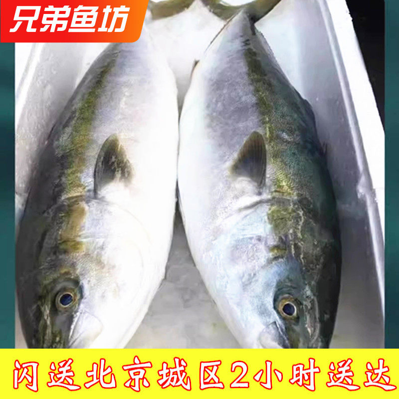 6-13斤/条 北京闪送 冰鲜 黄鰤鱼 寒鰤鱼 黄狮鱼 章红鱼 刺身鱼生
