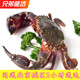 斤活海蟹赤甲红花盖蟹满肉螃蟹海鲜海虹蟹水产保鲜不保活 3只