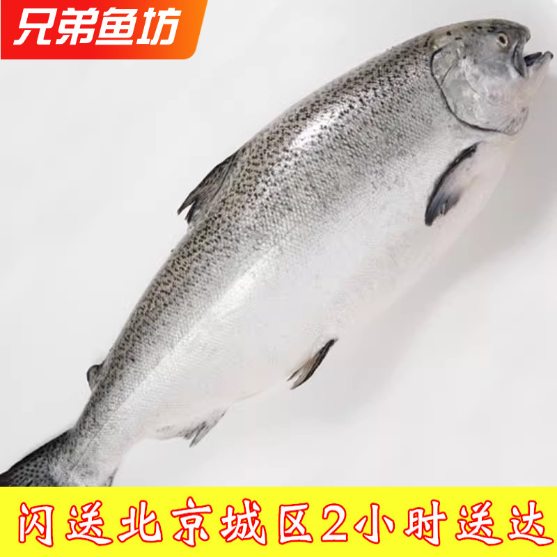 新西兰进口帝王鲑整条冰鲜三文鱼图片