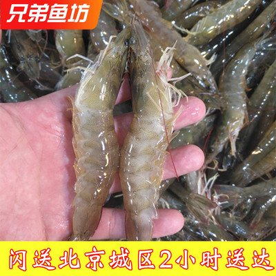 鲜活大个海白虾对虾现货