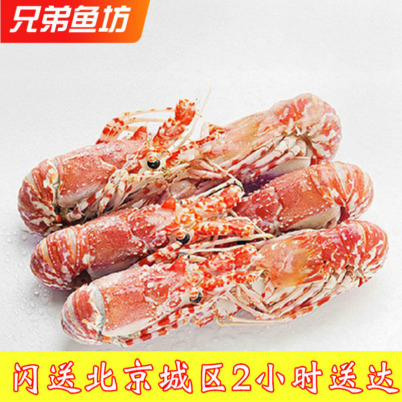 7-8只 1500g 莫桑比克玫瑰龙虾 海鲜水产鲜活冷冻大龙虾可刺身