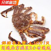 北京闪送鲜活阿拉斯加帝王蟹特大皇帝蟹长脚蟹海鲜水产现货按只卖