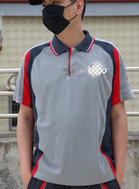 全新顺feng工作服夏季短袖20款速运快递员上班工衣老款灰色上衣