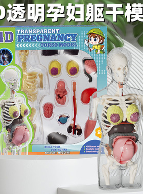 Transparent Pregnancy TORSO MODEL人体器官骨骼拼装科教玩具