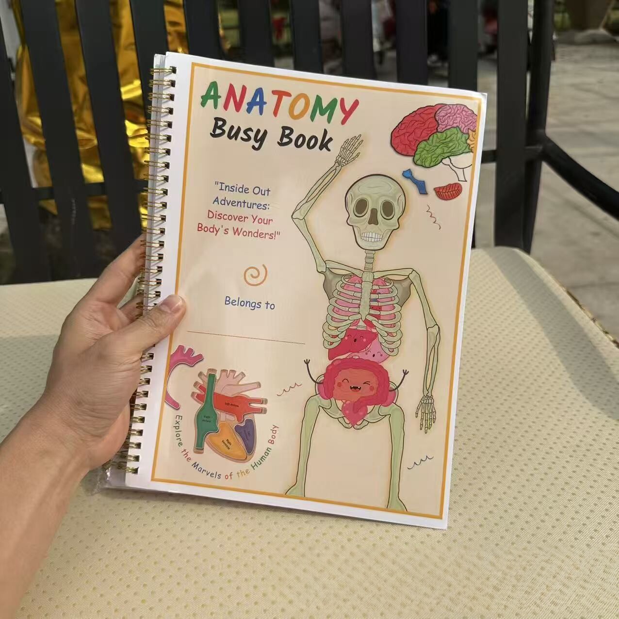 HumanAnatomyBusy人体解剖本
