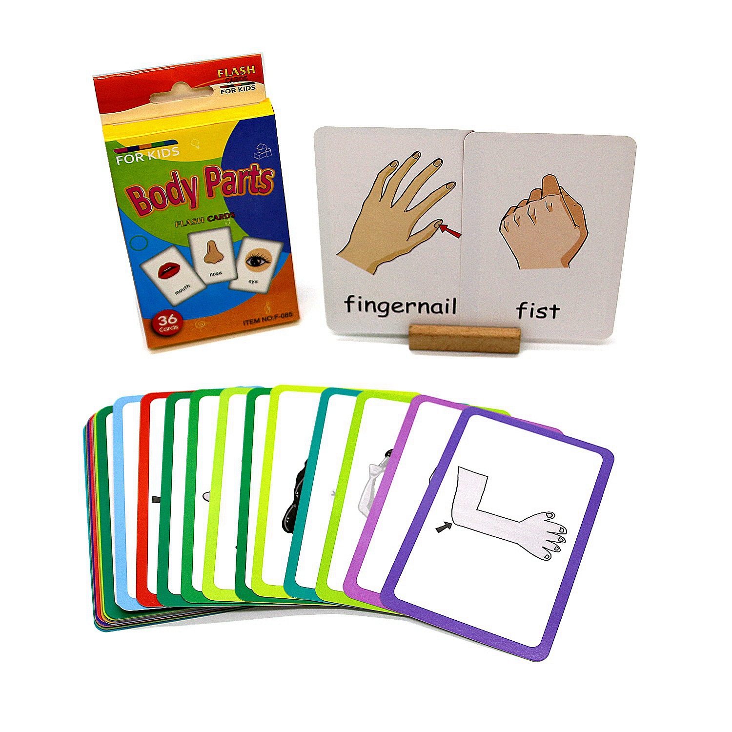 耐撕卡片儿童早教学习英文闪卡颜色动物认知卡English FlashCards