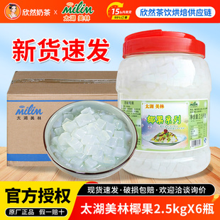 太湖美林椰果2.5kg 刨冰粥冰沙奶茶专用整箱原味椰果肉粒椰果 6桶