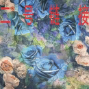 2号链接 吴绫真丝面料