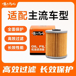 嘴上马力内置机滤ZS摩托车机滤呆子