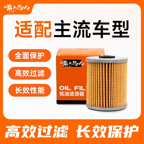 嘴上马力内置机滤ZS摩托车机滤呆子