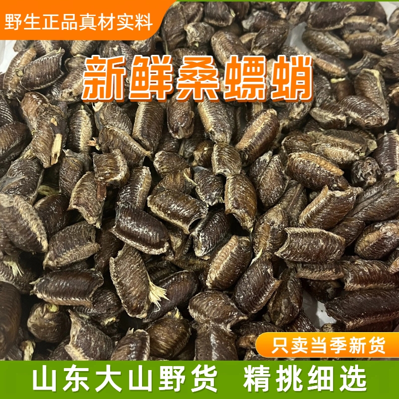 桑螵蛸特级螳螂卵螳螂籽刀螂籽男性滋补茶新鲜新货天然野生可孵化