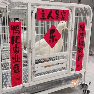 2025年宠物挥春订制鹦鹉对联小鸟笼子春联对子门联新年趣味迷你