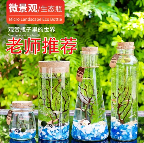 五下科学生态瓶制作五年级作业diy材料包治愈摆件儿童趣味实验鱼