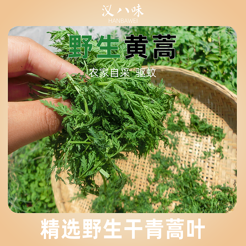野生黄蒿干货正品青蒿农家自采苦蒿臭蒿驱蚊茵陈艾草蒿500g包邮