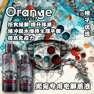 橙子造景日常推荐补水营养增强体质陆龟蜥蜴守宫拒食爬虫电解质水
