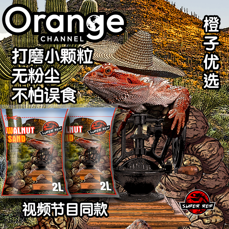 天然核桃沙陆龟守宫鬃狮蜥蜴爬宠