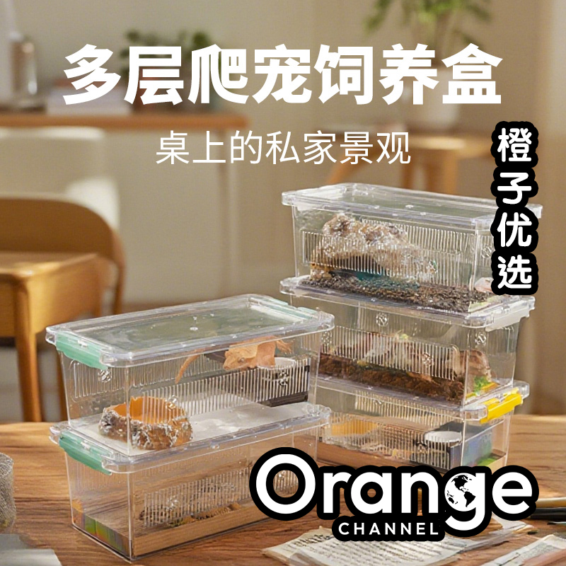 爬虫高透光饲养盒睫角守宫角蛙