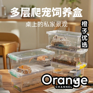 爬虫高透光饲养盒睫角R属守宫角蛙蛇蜘蛛甲虫寄居蟹爬宠饲养箱