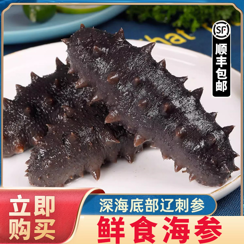 大连即食海参辽参刺参单个装新鲜活体冷冻海参500g