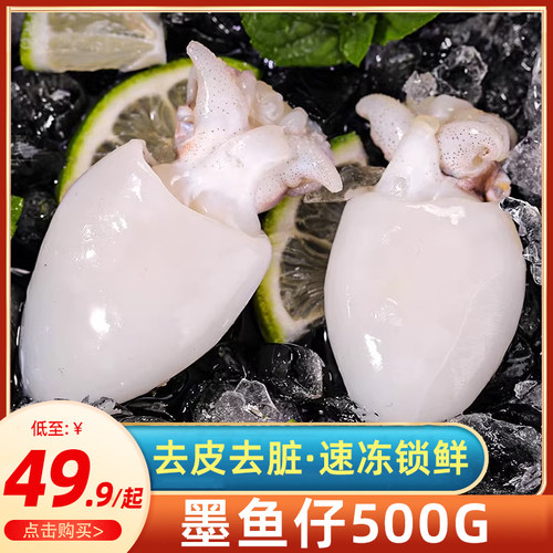 墨鱼仔新鲜冷冻小墨鱼无包冰鲜活冷冻乌贼小鱿鱼捞汁小海鲜商用