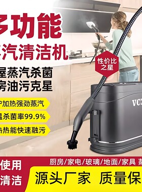 steam cleaner高温蒸汽清洁油烟机去油衣服熨烫挂烫机沙发清洗机