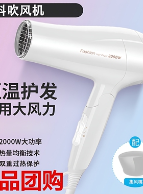 飞科电吹风2000W大功率家用发廊