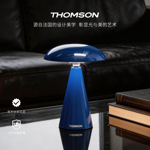 汤姆逊高级感氛围灯卧室床头灯