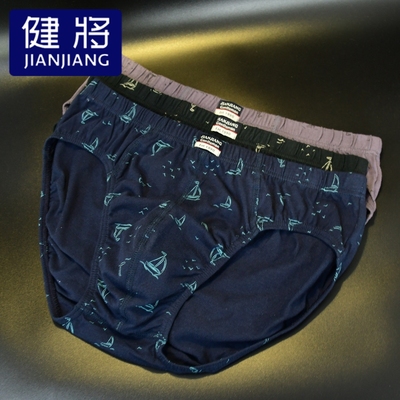 健将男士三角内裤纯棉全棉
