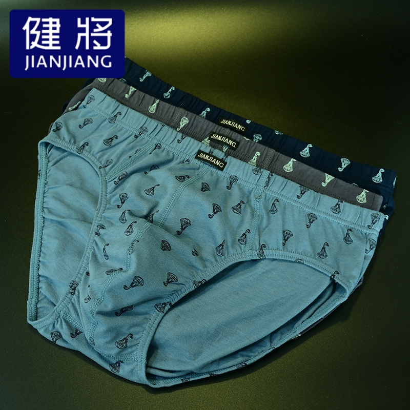 健将男士三角中腰全棉纯棉