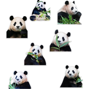 熊猫划痕遮盖汽车车贴三角装饰个性防水行李箱可爱福宝创意贴纸