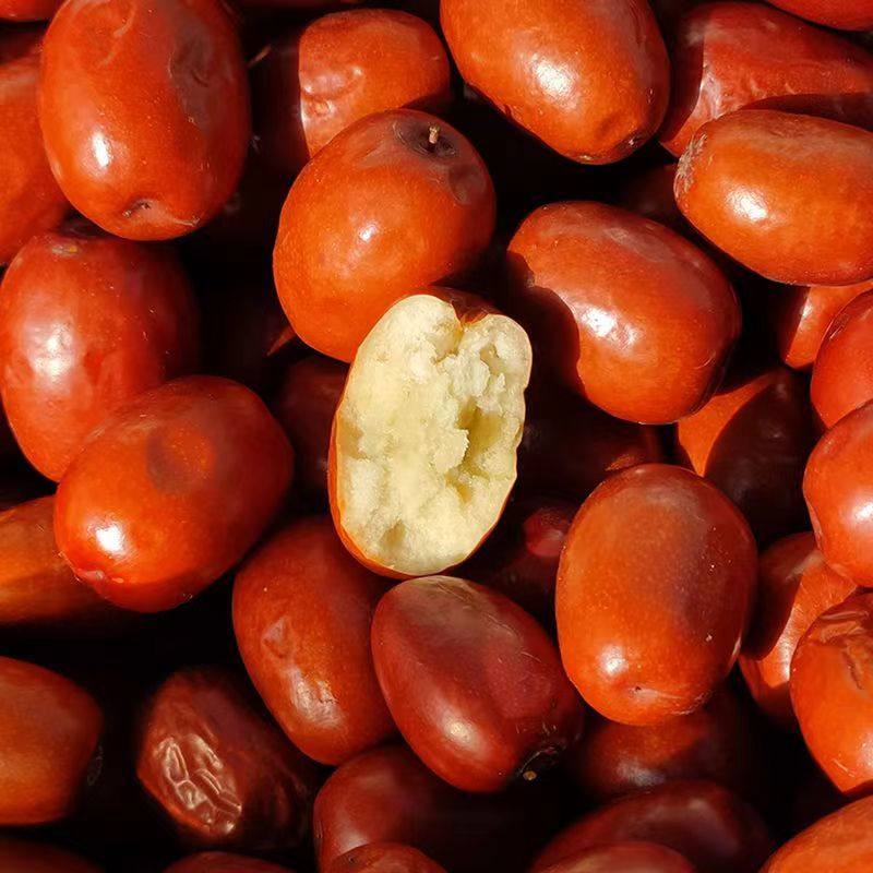 新鲜酒枣醉枣山西批发价零食枣临县酒枣黄河滩枣散装酒醉枣红枣