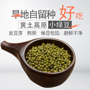 【小绿豆】2025年黄土高坡农家自产发豆芽熬粥打豆浆五谷杂粮500g