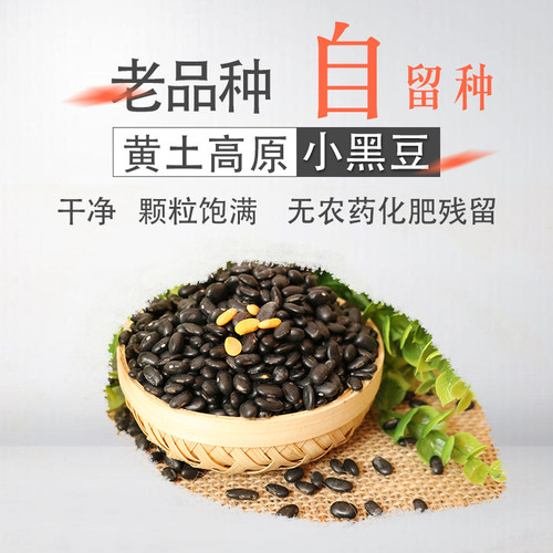 【黄芯小黑豆】2025年新农家自产小黑豆 五谷杂粮 俗称马料豆500g