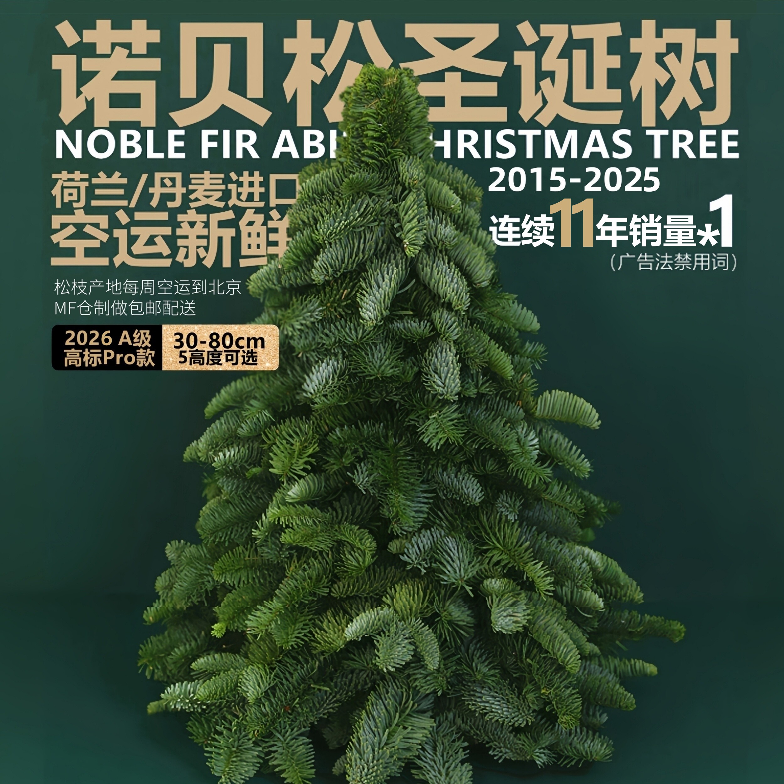 进口诺贝松圣诞树鲜活真松枝荷兰北美迷你小红书超级圣诞节礼植物