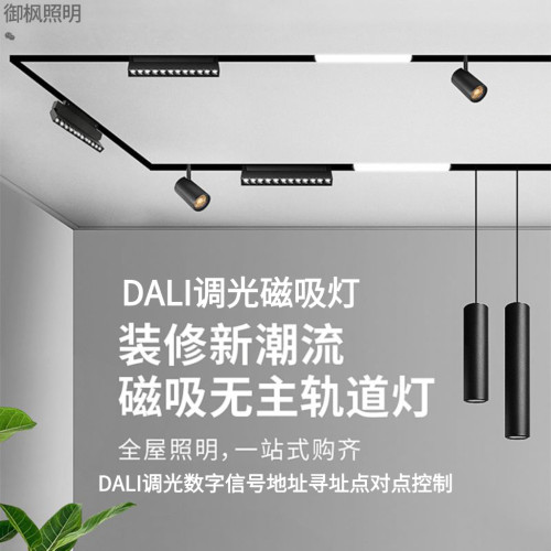 DALI调光磁吸轨道灯无主灯客厅