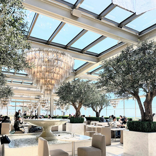 海虹景观大型仿真橄榄树绿植景观造景室内餐厅酒店装饰落地假树