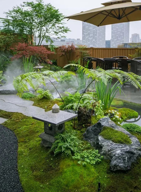 海虹景观仿真绿植楼顶露台假植物