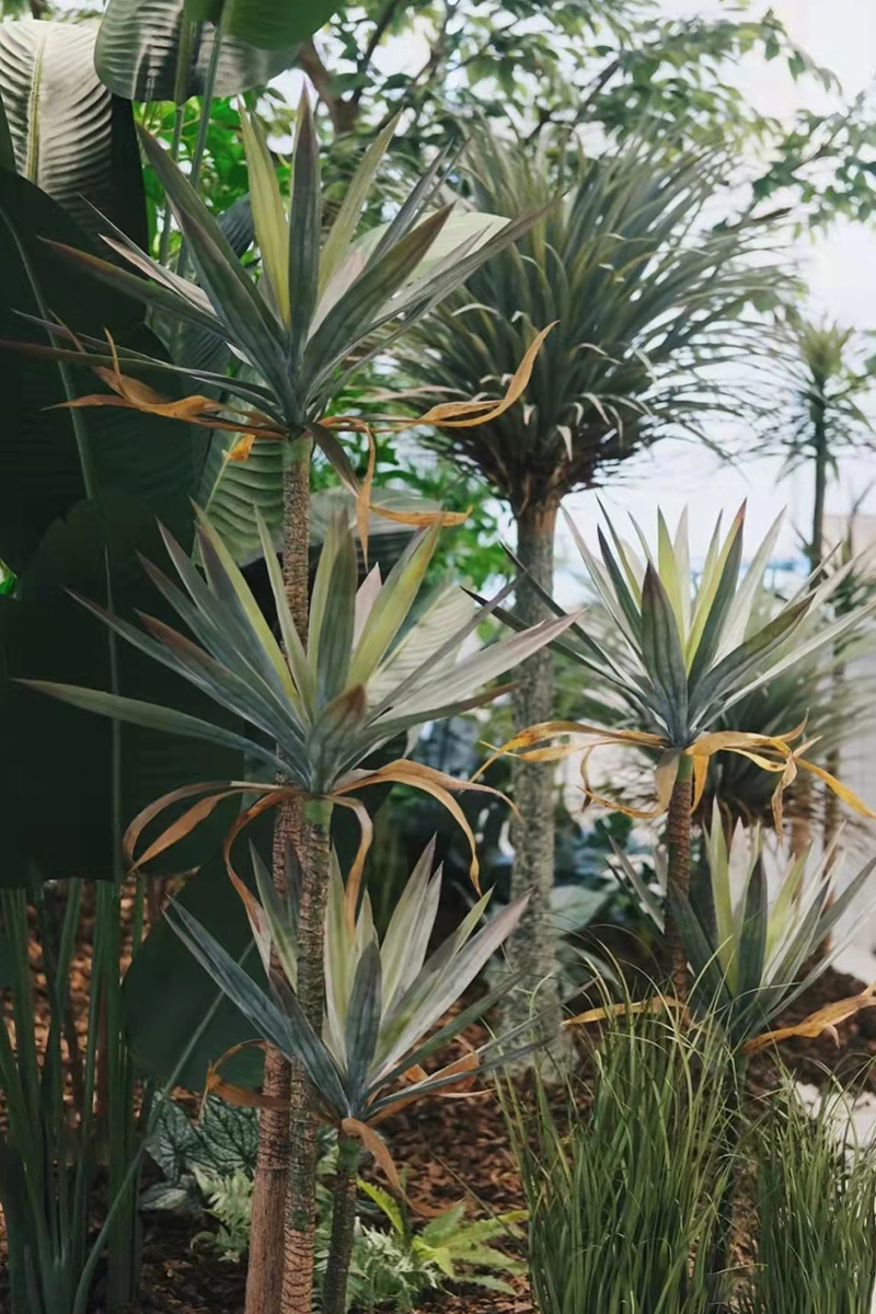 仿真绿植造景装饰室内剑麻微景观