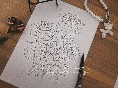 钢笔纯手绘玫瑰花束定做 送女朋友情人节礼物圣诞节DIY礼品M003