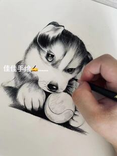 碳铅笔手绘稿 宠物狗手绘稿 现货包邮 宠物店开业墙壁挂画 可定做