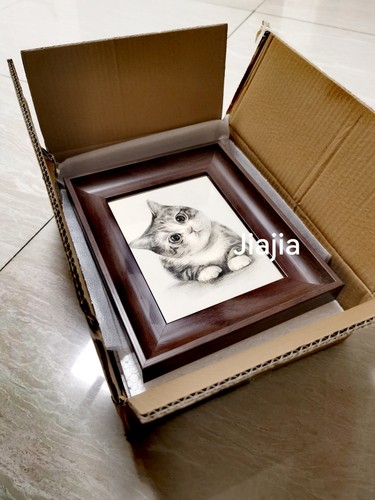 纯手绘素描宠物画像 现货包邮送相框 可来图送做客厅8寸
